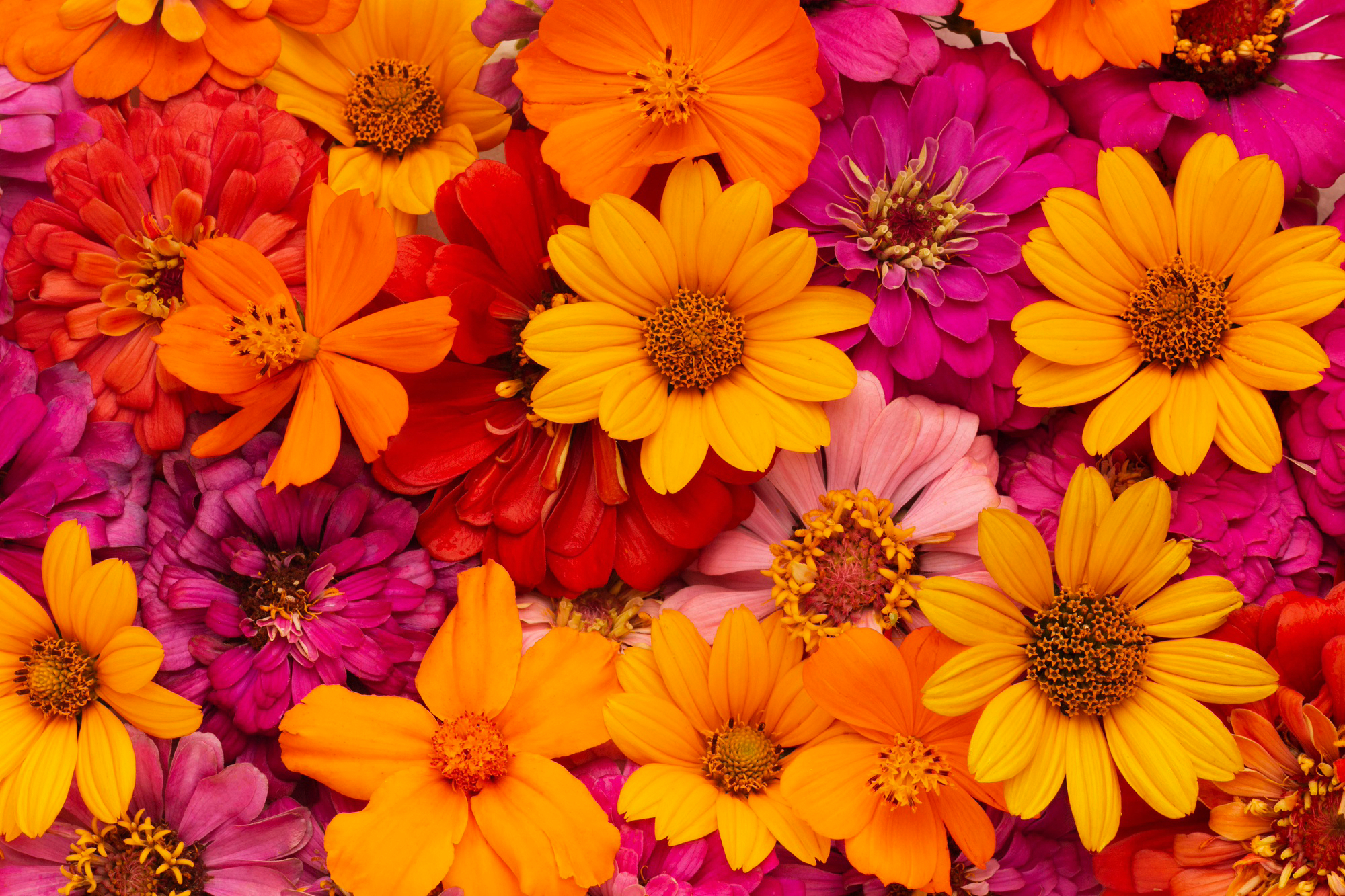 printemps-en-forme-solutions-naturelles